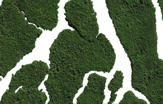 CSRD e Impronta Carbonica: come prepararsi alla scadenza del 2027