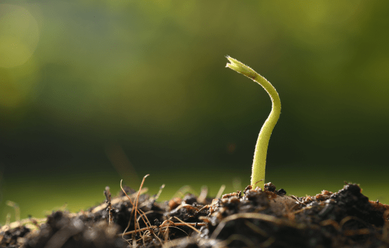Voluntary SME Standard: una nuova opportunità per la rendicontazione ESG oltre gli ESRS